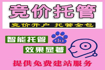 百度推广代运营案例：案例解析：如何实现快速转化
