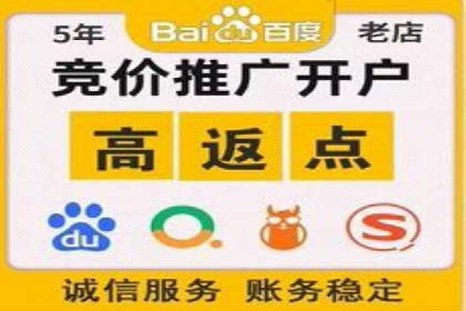 百度竞价推广运营实战技巧与经典案例剖析